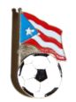 Puerto Rican pins  bandera puerto rico pins