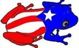 Dulces Tipicos Puerto Rico Flag and Coqui Sticker Puerto Rico
