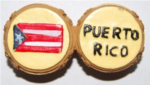 Puerto Rico Bongos Magnet