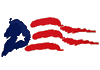 Puerto Rican Flag