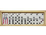 Dominoes, Dominos