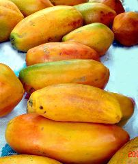 Papaya Candy