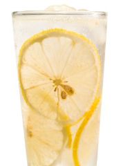 Recipe Rum Collins Puerto Rico