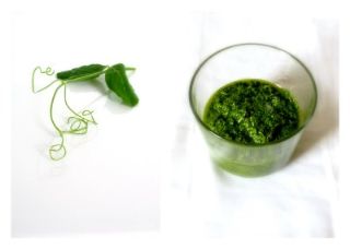 Recipe Dressing<br>Green Sauce Puerto Rico