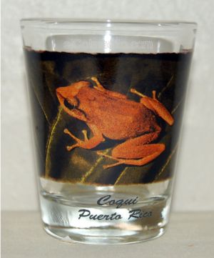 Vasos de Puerto Rico, Puertorican Shot Glass, Tazas de Puerto Rico, Puerto Rican Souveniers Puerto Rico