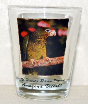 Vasos de Puerto Rico, Puertorican Shot Glass, Tazas de Puerto Rico, Puerto Rican Souveniers Puerto Rico