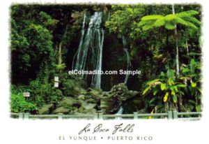 La Coca Falls El Yunque Puerto Rico Puerto Rico