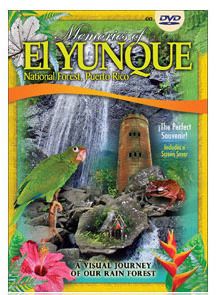 Memories of Puerto Rico, Memories of El Yunque, El Yunque videos and photos Puerto Rico