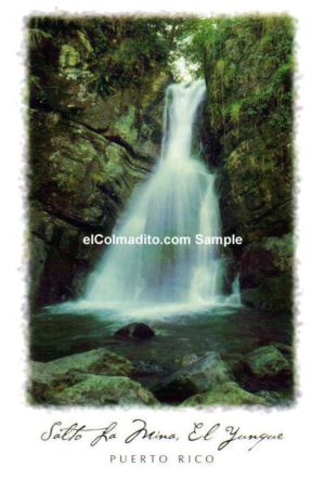 Salto La Mina El Yunque Puerto Rico Puerto Rico