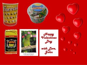 San Valentine combo Puerto Rico
