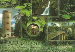 El Yunque, Post Cards of Puerto Rico Puerto Rico