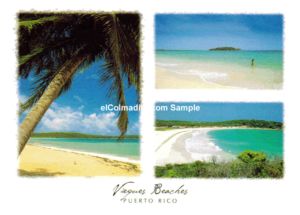 Vieques Beaches Puerto Rico  Puerto Rico